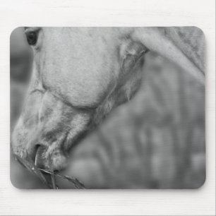 B&W Horse Head ~ Mousepad Muismat