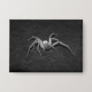 B&W_Huntsman Spider Button