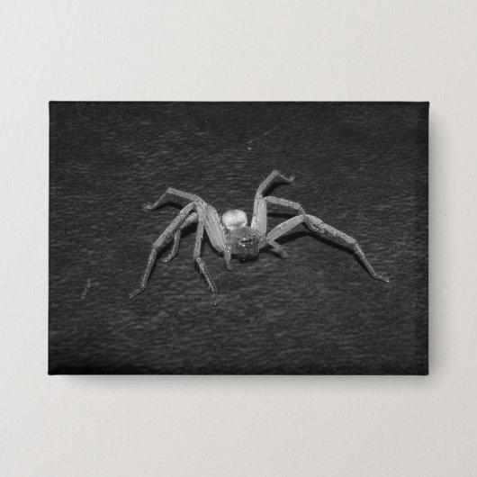 B&W_Huntsman Spider Button (Voorkant)