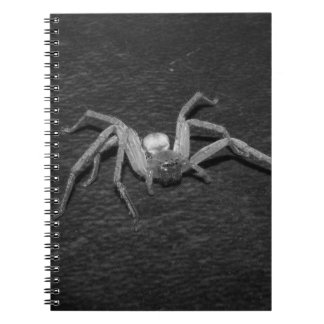 B&W_Huntsman Spider Notitieboek