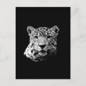 B&W Jaguar Briefkaart (Voorkant)