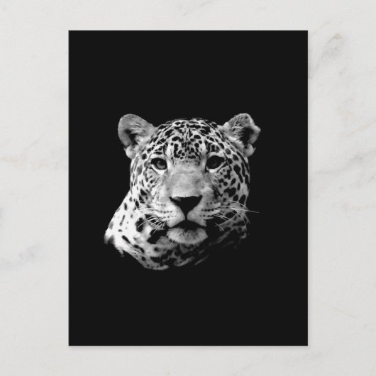 B&W Jaguar Briefkaart (Voorkant)