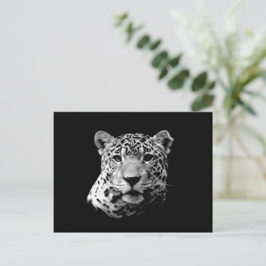 B&W Jaguar Briefkaart (Staand voorkant)