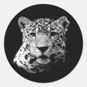 B&W Jaguar Ronde Sticker