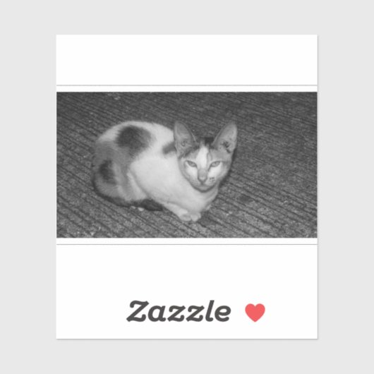B&W - Kat 03 Sticker (Vel)