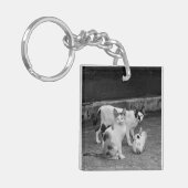 B&W - Katten Sleutelhanger (Voorkant Links)
