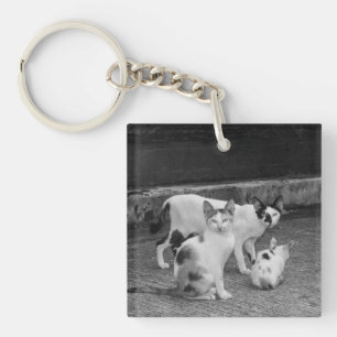 B&W - Katten Sleutelhanger