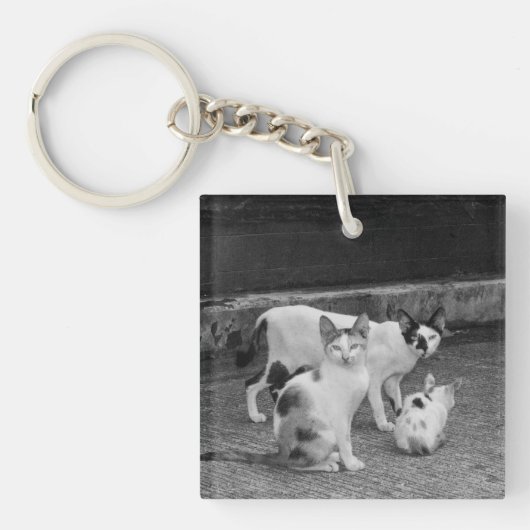 B&W - Katten Sleutelhanger (Voorkant)