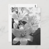 b&w lillies briefkaart (Voorkant / Achterkant)