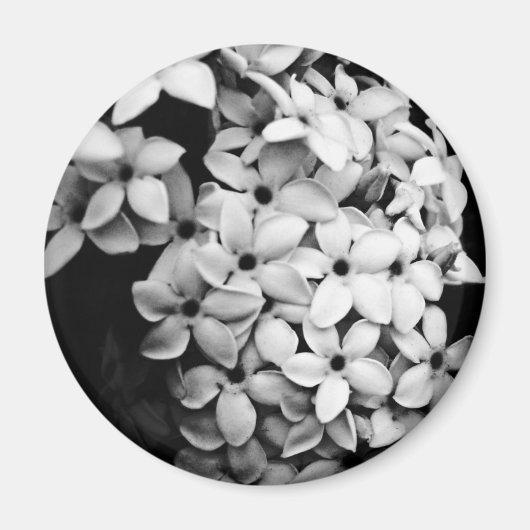 B&W MAGNEET (Voorkant)