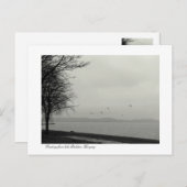 B&w-meer Balaton Briefkaart (Voorkant / Achterkant)