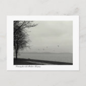 B&w-meer Balaton Briefkaart (Voorkant)