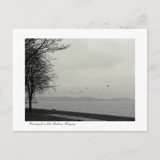 B&w-meer Balaton Briefkaart (Voorkant)