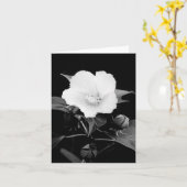 B&W nam Kaart van de Nota van de Malve de Lege toe (Gele Bloem)