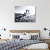 B+W Namib Desert Tree Canvas Afdruk (Insitu (Slaapkamer))