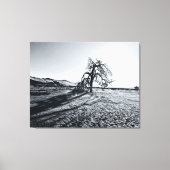 B+W Namib Desert Tree Canvas Afdruk (Voorkant)