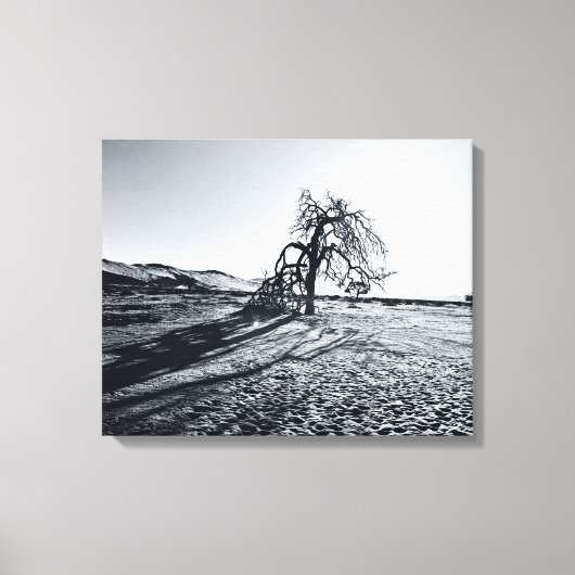B+W Namib Desert Tree Canvas Afdruk (Voorkant)