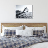 B+W Namib Desert Tree Canvas Afdruk (Insitu (Slaapkamer))