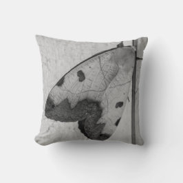 B&W - Ophiusa tirhaca, de groene draak Kussen