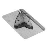 B&W - Ophiusa tirhaca, de groene draak Magneet (Rechterzijde)