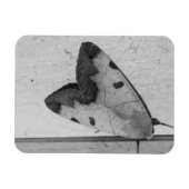 B&W - Ophiusa tirhaca, de groene draak Magneet (Horizontaal)