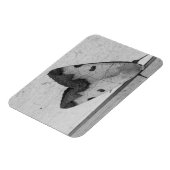 B&W - Ophiusa tirhaca, de groene draak Magneet (Linkerzijde)