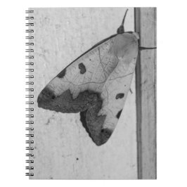 B&W - Ophiusa tirhaca, de groene draak Notitieboek