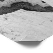 B&W - Ophiusa tirhaca, de groene draak Poster (Hoek)