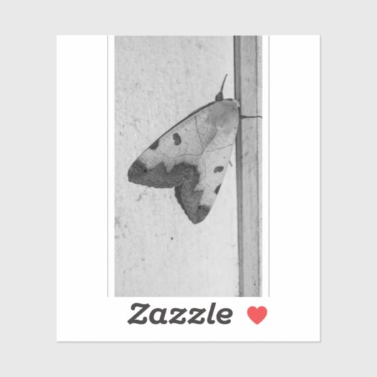 B&W - Ophiusa tirhaca, de groene draak Sticker (Vel)