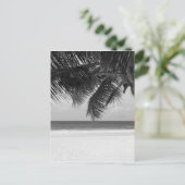 B&W-palm 7 Briefkaart (Staand voorkant)