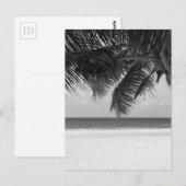 B&W-palm 7 Briefkaart (Voorkant / Achterkant)