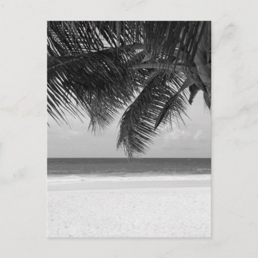 B&W-palm 7 Briefkaart (Voorkant)