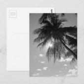 B&W palm Briefkaart (Voorkant / Achterkant)