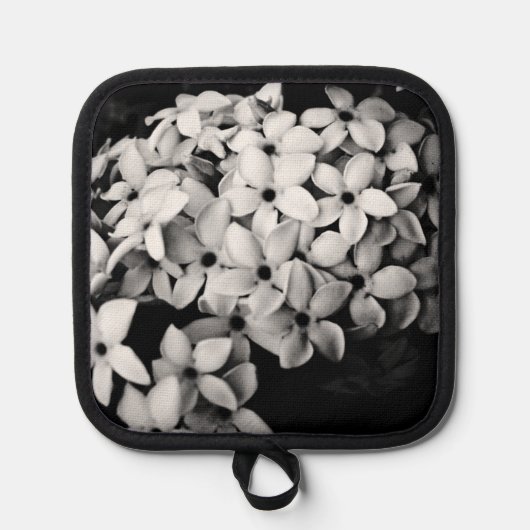 B&W PANNENLAP (Voorkant)