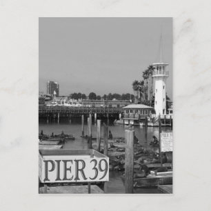 B&W Pier 39 Zee Lions Briefkaart