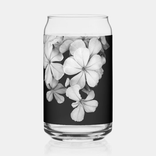 b&w Plumbago Blikvorm Glas (Voorkant)