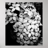 B&W POSTER (Voorkant)