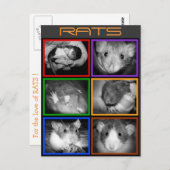 B&W RATS collage Briefkaart (Voorkant / Achterkant)