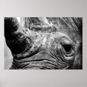 B&W Rhino Poster (Voorkant)