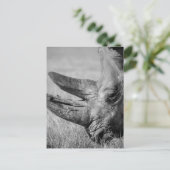 B&W Rhinoceros Briefkaart (Staand voorkant)