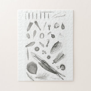 B&W Science Microbiology Magnification Microscopic Legpuzzel