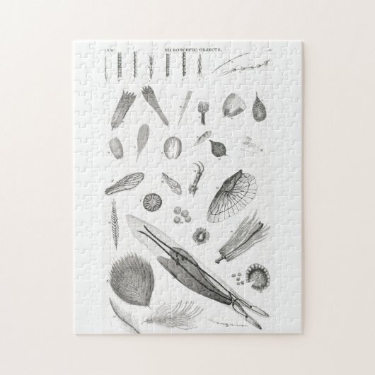 B&W Science Microbiology Magnification Microscopic Legpuzzel (Verticaal)