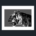 B&W Siberian Tiger Pop Art Poster afdrukken<br><div class="desc">Zwart-witte tijger portret Pop Kunst Wilde Dieren Kunst - Kunst van de Pop van het tijgergezicht - Portret van tijger Wilde Dieren Pop Kunst - Wilde Katten Tiger Head Pop Kunstwerk Digitaal Kunstwerk</div>