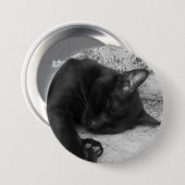 B&W - Slaapende kat Ronde Button 7,6 Cm (Voorkant /achterkant)