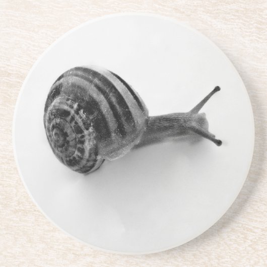 B&W slak Zandsteen Onderzetter (Voorkant)