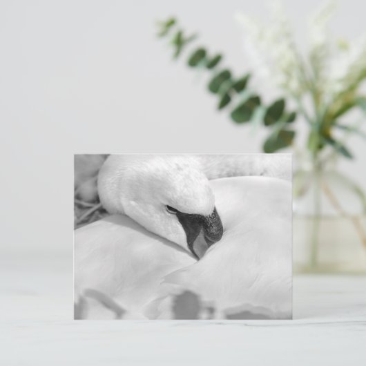 B&W Swan Briefkaart (Staand voorkant)