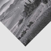 B&W Toscane Tissuepapier (Detail)