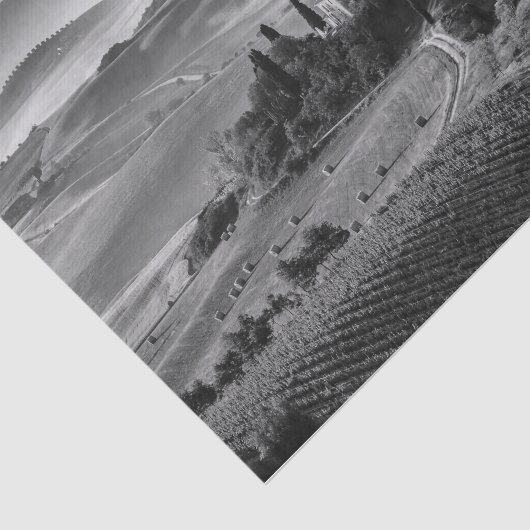 B&W Toscane Tissuepapier (Detail)