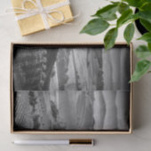 B&W Toscane Tissuepapier (Geschenk)