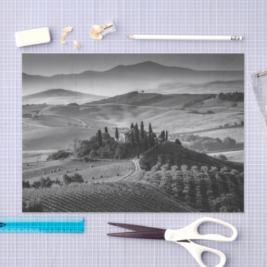 B&W Toscane Tissuepapier (Craft)